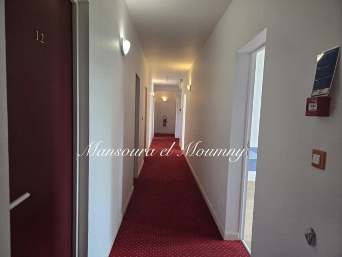 Photos 14 - Touristique - Propriété à vendre 20 pièces CHATEAU RENAULT (37)