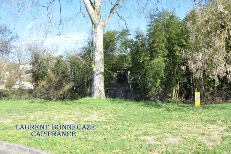 Photos 4 - Rurale - Hangar à vendre 1 pièces VALENCE D'AGEN (82)