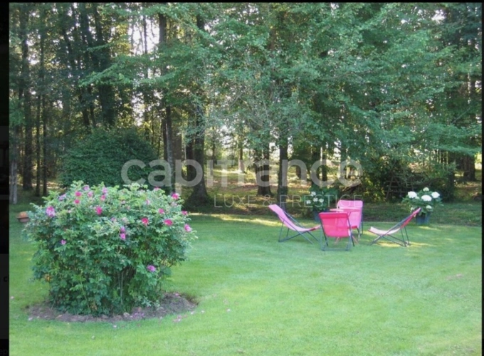 Photos 21 - Touristique - Propriete à SAINT BRANCHS 30 minutes de Tours