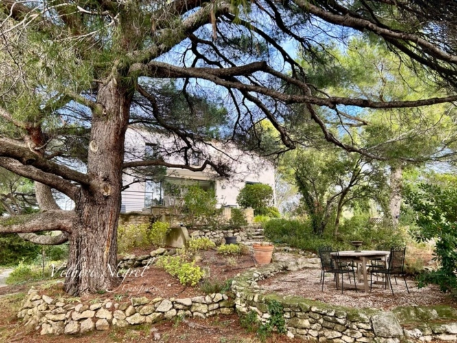Photos 4 - Prestige - Propriété avec piscine à vendre, MOURIES (13)