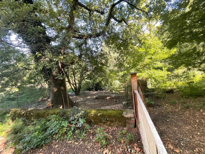 Photos 17 - Rurale - Propriété agricole avec maison de maître, corps de ferme et dépendances – 3,4 ha – Campagne