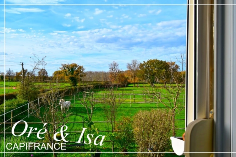 Photos 4 - Équestre - Propriete à vendre 7 pièces REIGNY (18)