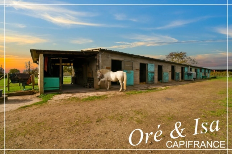 Photos 5 - Équestre - Propriete à vendre 7 pièces REIGNY (18)