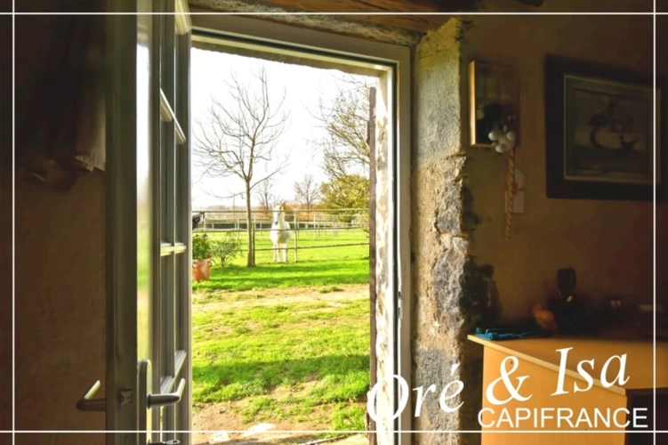 Photos 24 - Équestre - Propriete à vendre 7 pièces REIGNY (18)