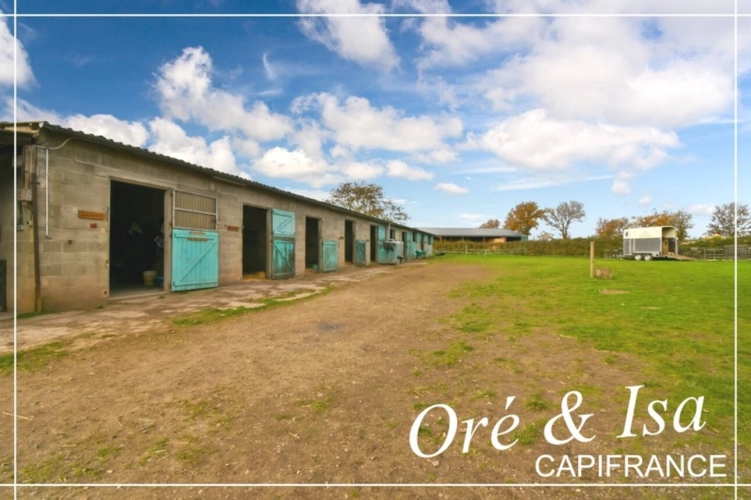 Photos 26 - Équestre - Propriete à vendre 7 pièces REIGNY (18)