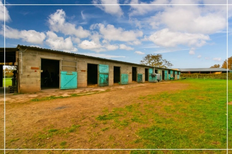 Photos 27 - Équestre - Propriete à vendre 7 pièces REIGNY (18)