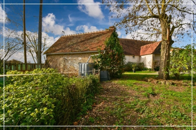 Photos 29 - Équestre - Propriete à vendre 7 pièces REIGNY (18)