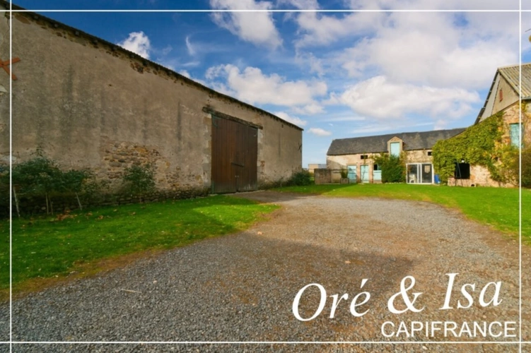 Photos 36 - Équestre - Propriete à vendre 7 pièces REIGNY (18)