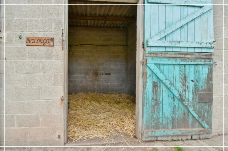 Photos 48 - Équestre - Propriete à vendre 7 pièces REIGNY (18)