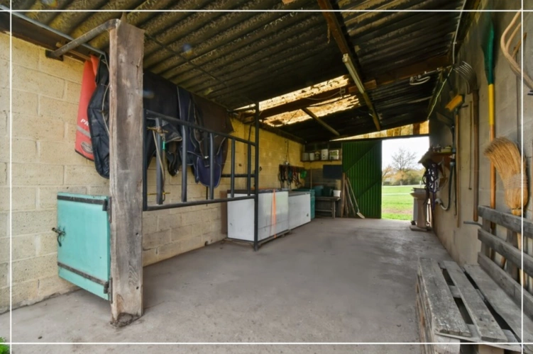 Photos 49 - Équestre - Propriete à vendre 7 pièces REIGNY (18)