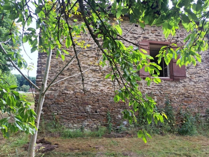 Photos 9 - Rurale - Maison