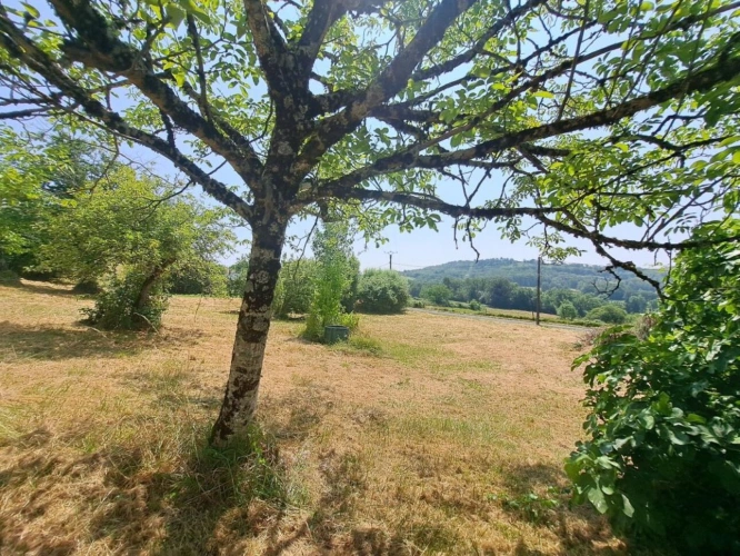 Photos 2 - Rurale - Maison