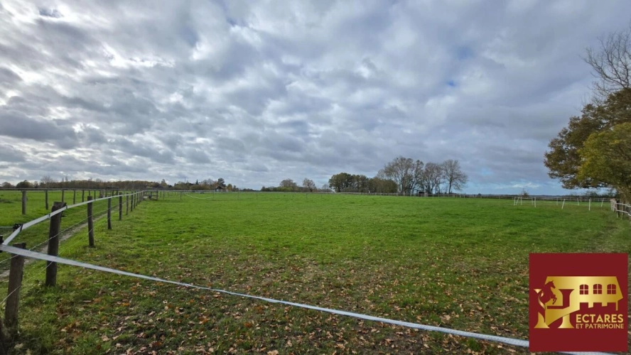 Photos 11 - Rurale - Belle Demeure de 175 m2 sur une Propriété de 8 ha