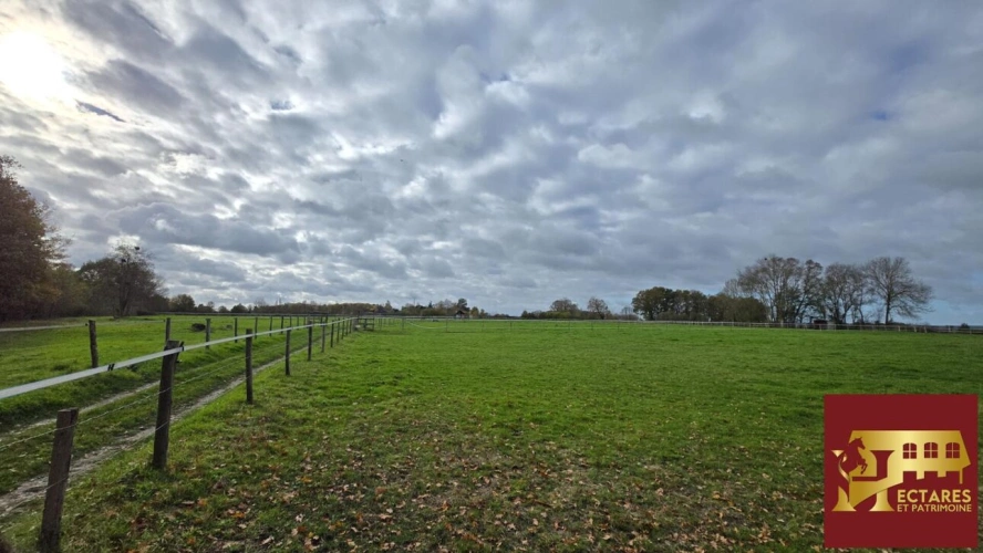 Photos 13 - Rurale - Belle Demeure de 175 m2 sur une Propriété de 8 ha