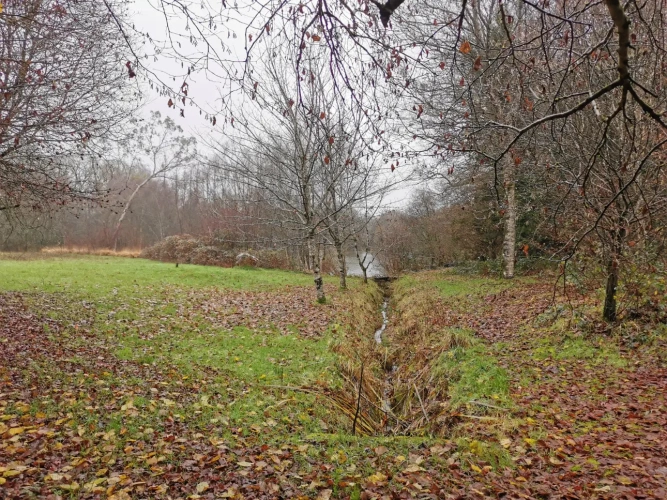Photos 3 - Forestière - Maison en pierres avec parc arboré et étang