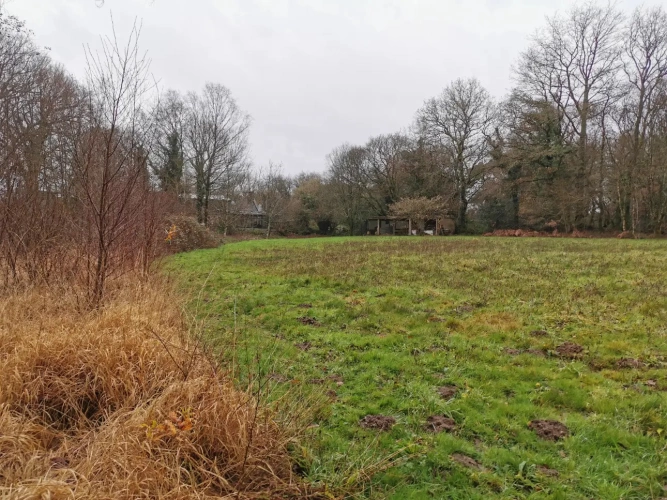 Photos 7 - Forestière - Maison en pierres avec parc arboré et étang