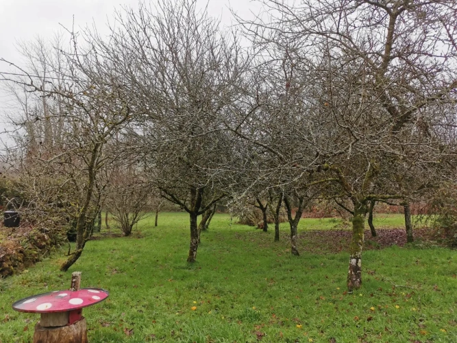 Photos 9 - Forestière - Maison en pierres avec parc arboré et étang