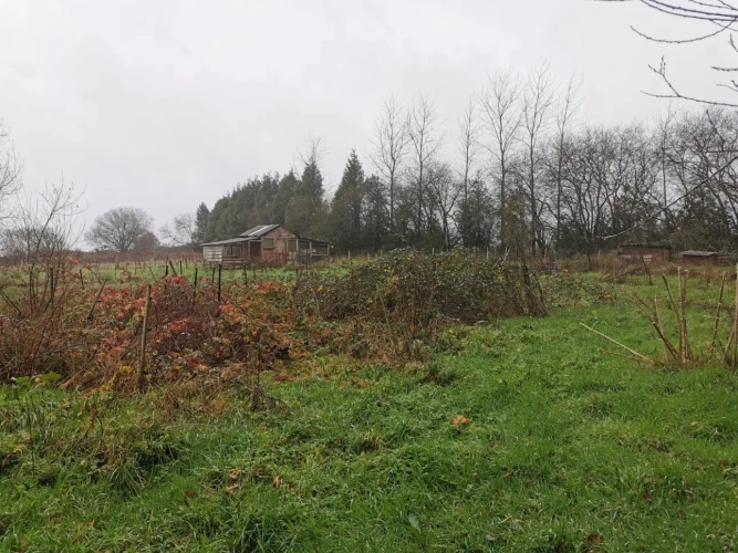 Photos 12 - Forestière - Maison en pierres avec parc arboré et étang