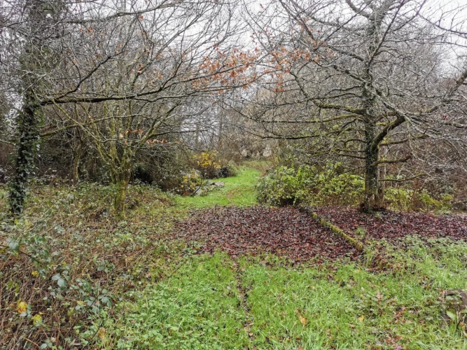 Photos 14 - Forestière - Maison en pierres avec parc arboré et étang