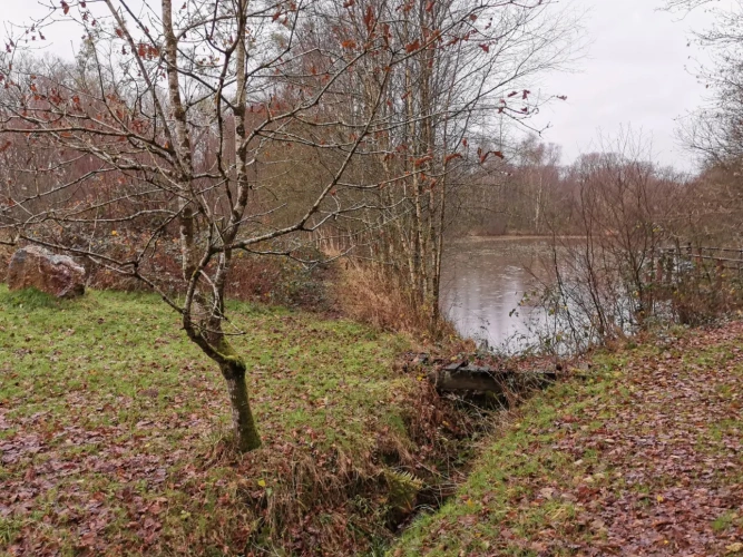 Photos 16 - Forestière - Maison en pierres avec parc arboré et étang