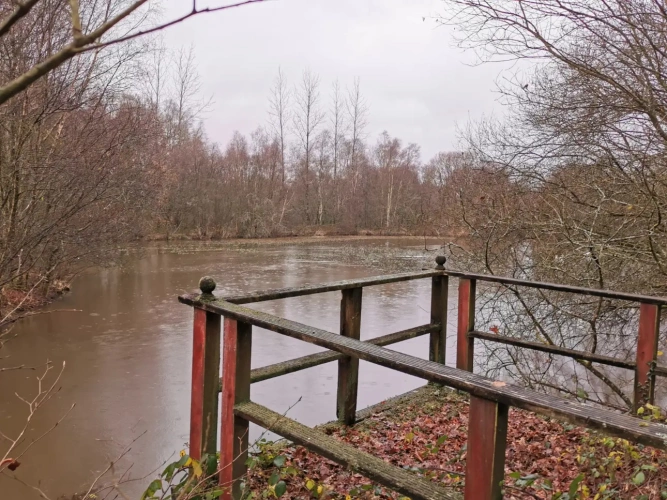 Photos 17 - Forestière - Maison en pierres avec parc arboré et étang