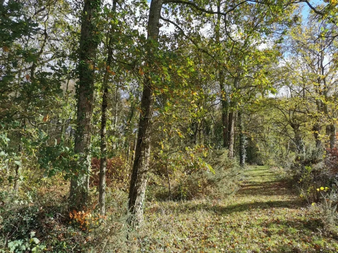 Photos 1 - Rurale - etang, bois et prairie