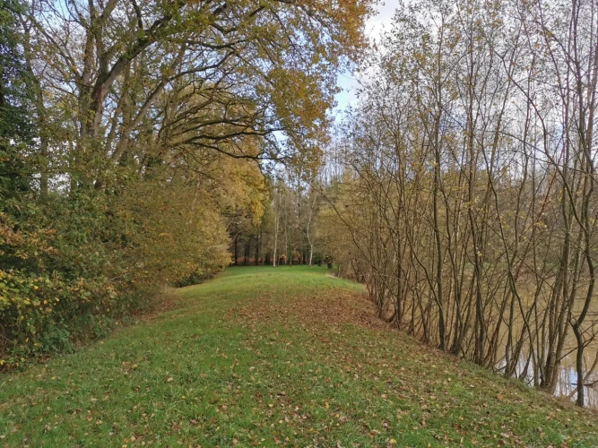 Photos 3 - Rurale - etang, bois et prairie
