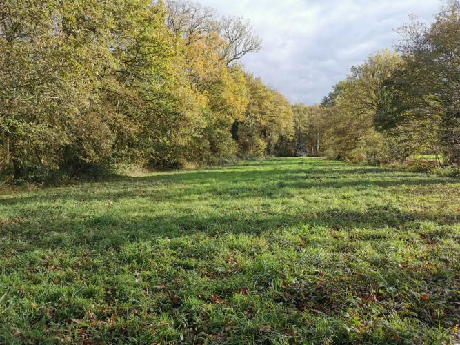 Photos 5 - Rurale - etang, bois et prairie