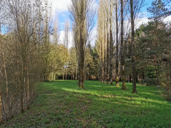 Photos 6 - Rurale - etang, bois et prairie