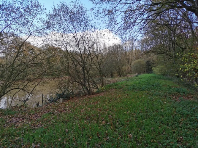Photos 7 - Rurale - etang, bois et prairie