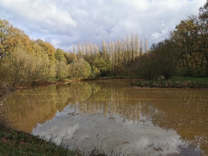 Photos 8 - Rurale - etang, bois et prairie