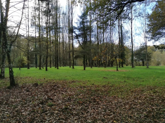 Photos 9 - Rurale - etang, bois et prairie