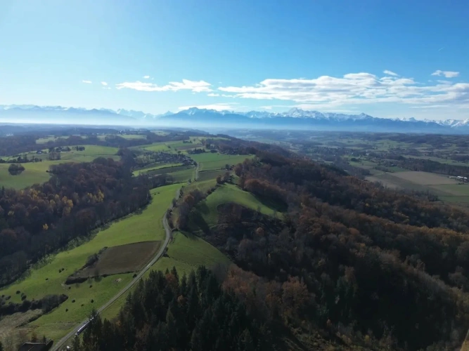 Photos 1 - Forestière - FORÊT DE PRODUCTION DE PEUPLEMENTS MIXTES
