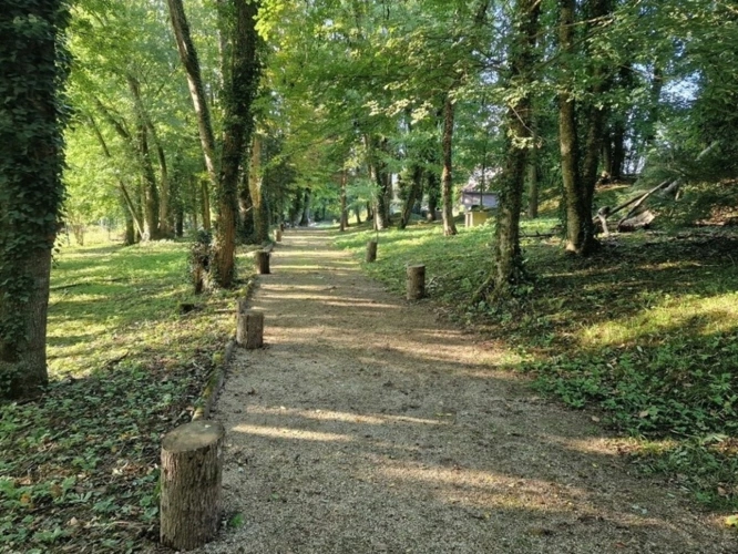 Photos 3 - Rurale - PROPRIÉTÉ avec VILLA PARC FORET à vendre 8 pièces proche de CONTREXEVILLE (88) idéale GITE de groupe/ Maison