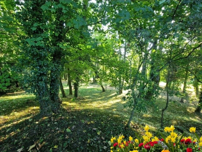 Photos 15 - Rurale - PROPRIÉTÉ avec VILLA PARC FORET à vendre 8 pièces proche de CONTREXEVILLE (88) idéale GITE de groupe/ Maison