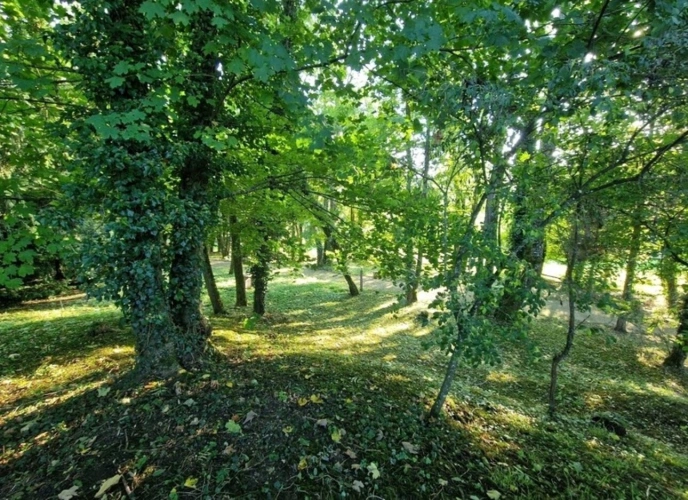 Photos 23 - Rurale - PROPRIÉTÉ avec VILLA PARC FORET à vendre 8 pièces proche de CONTREXEVILLE (88) idéale GITE de groupe/ Maison