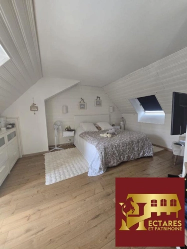 Photos 18 - Equestrian - Domaine équestre en activité proche PARIS