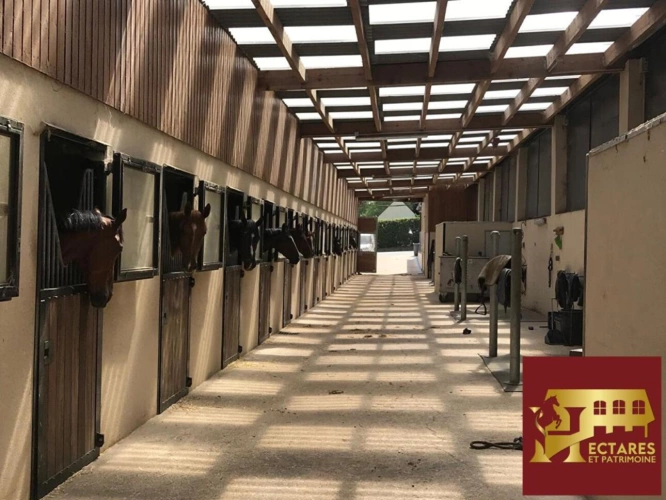 Photos 6 - Equestrian - Domaine équestre en activité proche PARIS