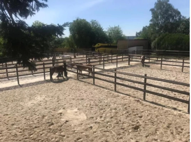 Photos 7 - Equestrian - Domaine équestre en activité proche PARIS