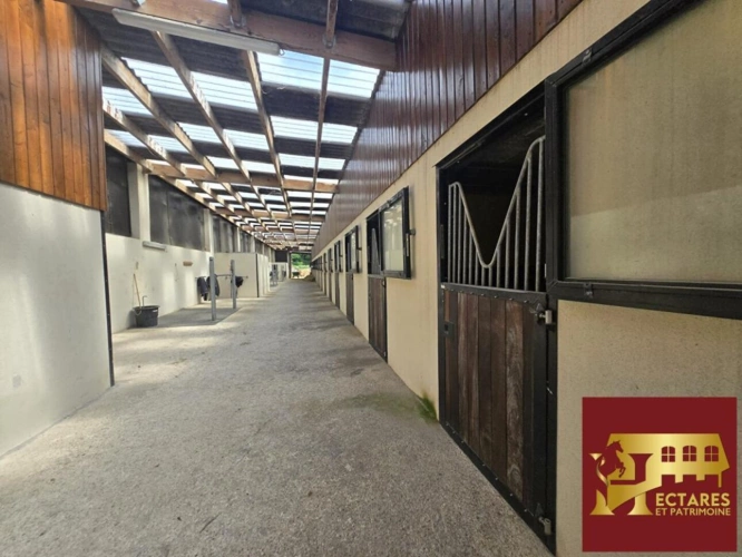 Photos 10 - Equestrian - Domaine équestre en activité proche PARIS