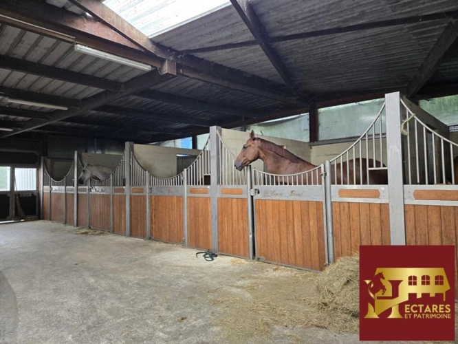 Photos 12 - Equestrian - Domaine équestre en activité proche PARIS