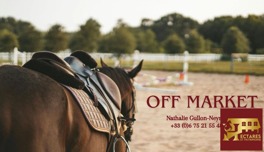 Photos 1 - Équestre - OPPORTUNITE PAYS DE GEX