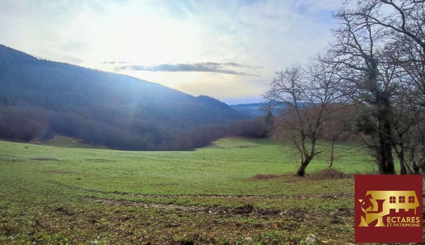 Photos 12 - Prestige - 26 hectares aux portes de Suisse