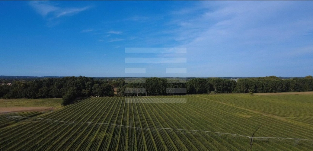Photos 1 - Agricole - Propriété agricole