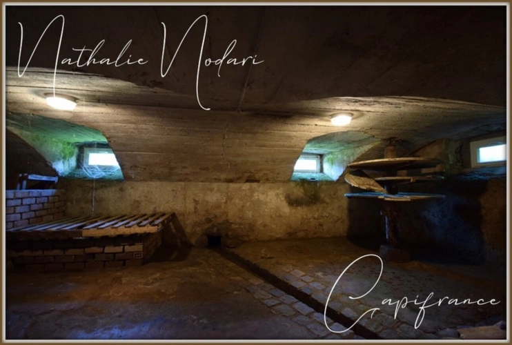 Photos 11 - Rurale -  Ferme rénovée à vendre à La Bresse (Vosges) terrain de 1,67 hectare