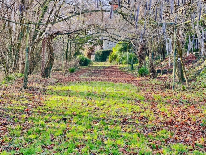 Photos 3 - Prestige - À VENDRE - ST LÉONARD - PROPRIÉTÉ DE CARACTÈRE EN PIERRES - 4,75 HECTARES - 7 APPARTEMENTS - PISCINE COUVERTE - LOCAL TECHNIQUE