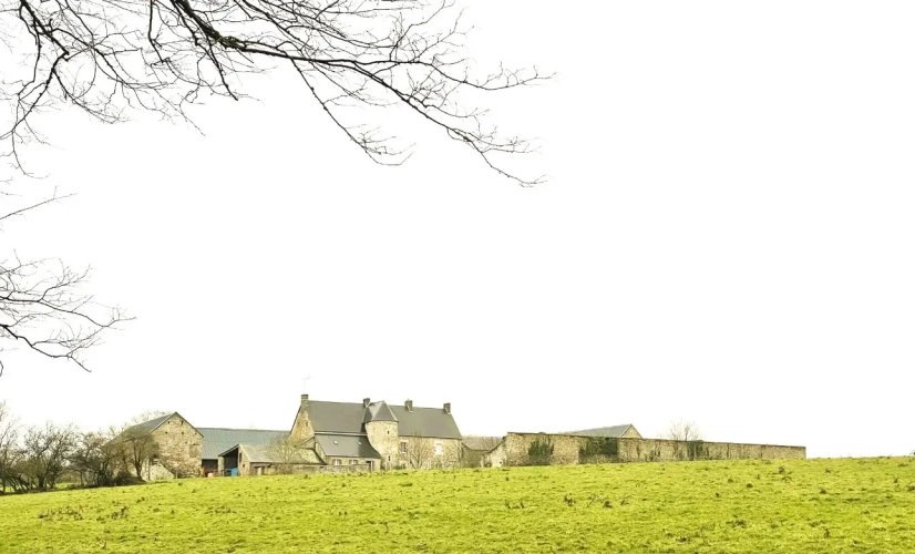 Photos 3 - Équestre - CALVADOS – PROPRIETE AGRICOLE DE 100 HECTARES AVEC MAISON DE CARACTERE