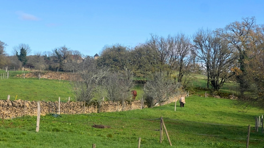 Photos 15 - Équestre - Lot : Propriété équestre d’exception au cœur d’un site classé UNESCO (46)