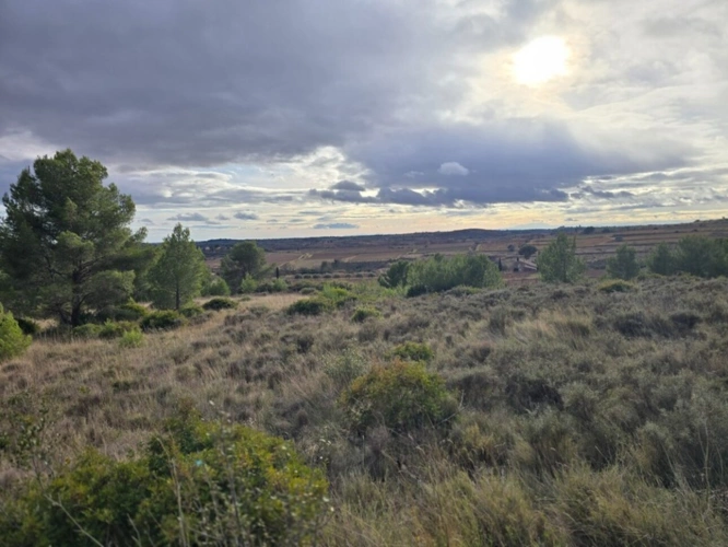 Photos 10 - Agricole - Terrain agricole de 8 500 m² à GABIAN (34)