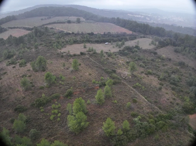 Photos 12 - Agricole - Terrain agricole de 8 500 m² à GABIAN (34)